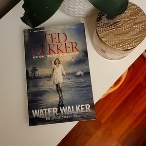 "Water Walker" by Ted Decker